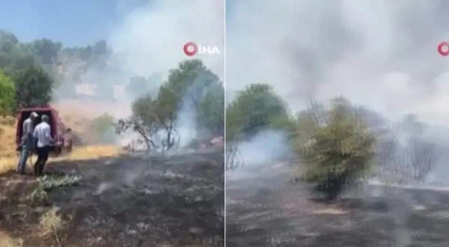 Malatya'da orman yangını çıktı!