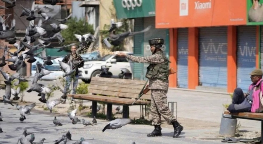 Hindistan'da açık alanda güvercin beslemek yasaklandı