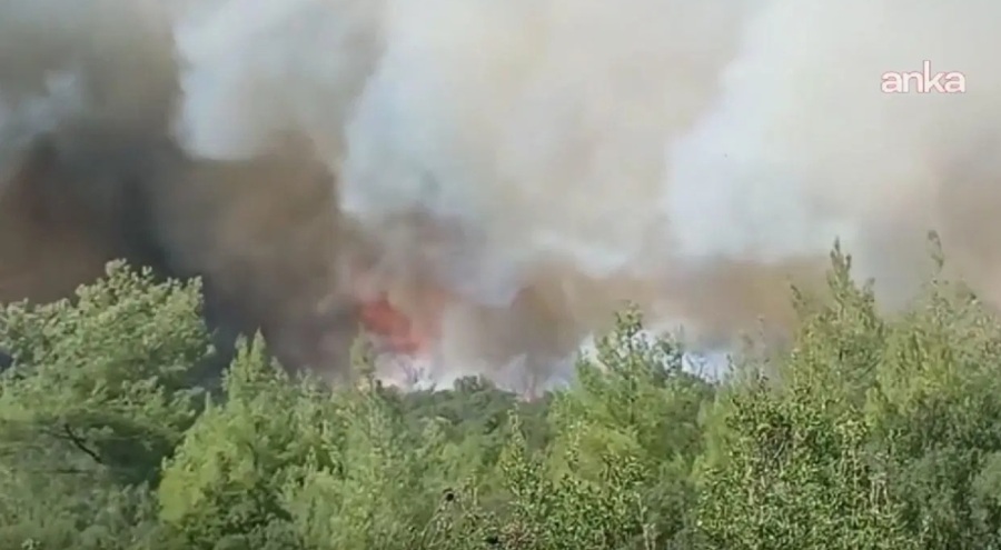 Muğla'da  orman yangını!