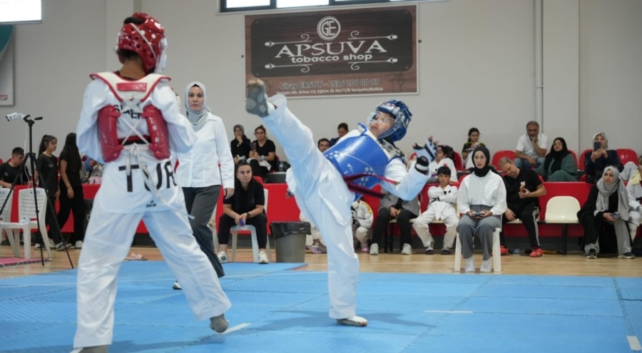 Yenişehir'de Minikler Taekwondo Şampiyonası yapıldı