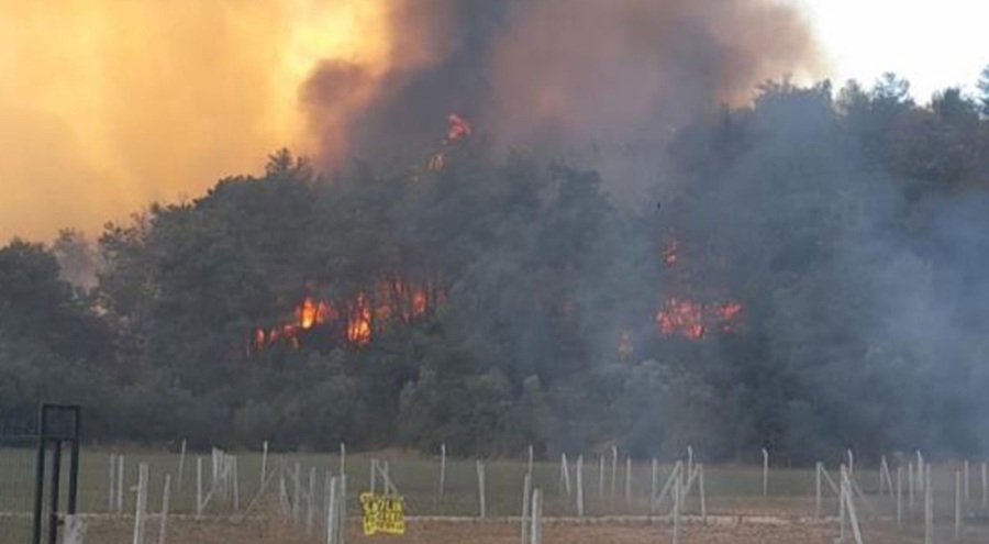 İzmir'de orman yangını