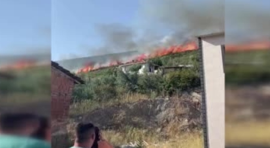 Bursa'da korkutan orman yangını!