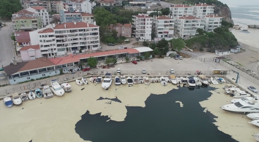 Bursalı balıkçılar için müjdeli haber! Müsilaj destek çalışması başlatıldı