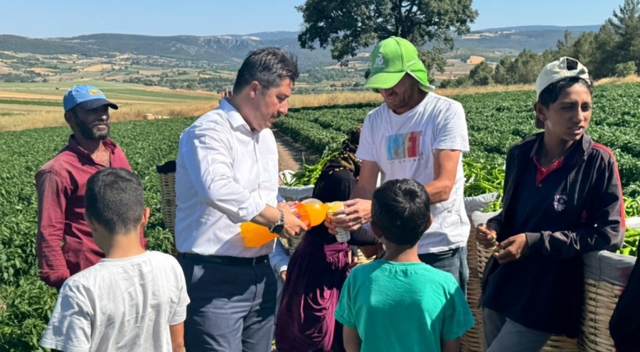 Yenişehir Belediye Başkanı Özel, tarım işçilerini tarlada ziyaret etti