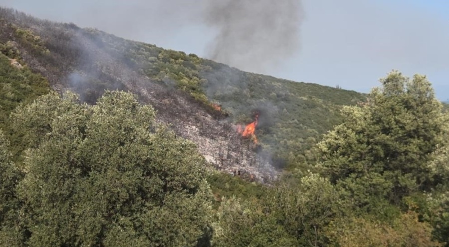Bursa Gedelek yangını ile ilgili 1 kişi gözaltına alındı