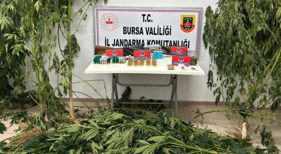 Bursa İznik'te jandarmadan uyuşturucu operasyonu!