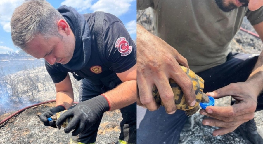 Kocaeli'nde alevlerin ortasında itfaiye erinden yürek ısıtan hareket