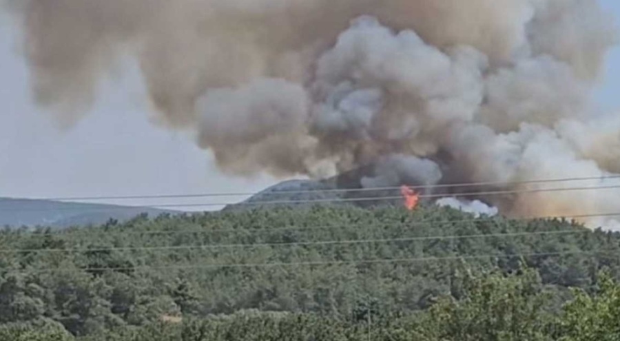 İzmir'de orman yangınına neden olan kaynakçı tutuklandı