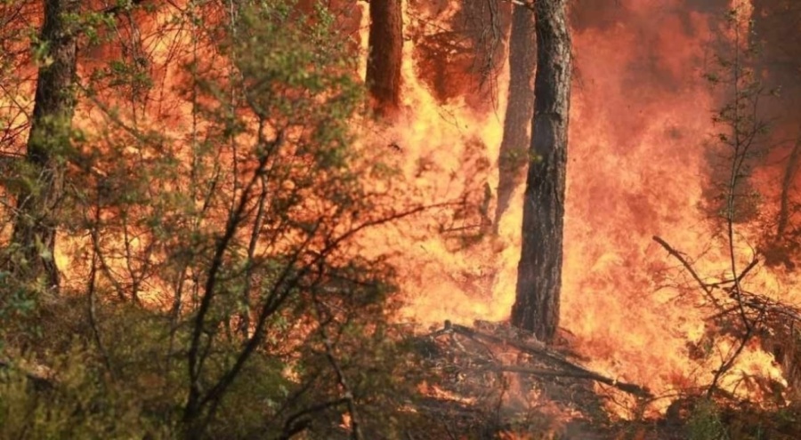 Tokat'ın Gıj Gıj dağındaki yangın kontrol altına alındı