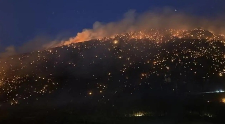 Türkiye alevlerle boğuşuyor: Malatya, Denizli ve Sivas'ta orman yangınları