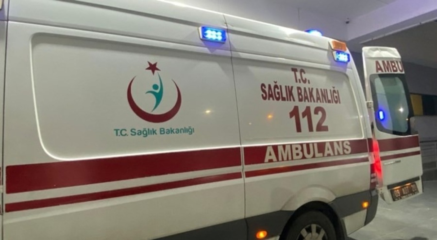 Domuz sandığı komşusunu tüfekle vurdu