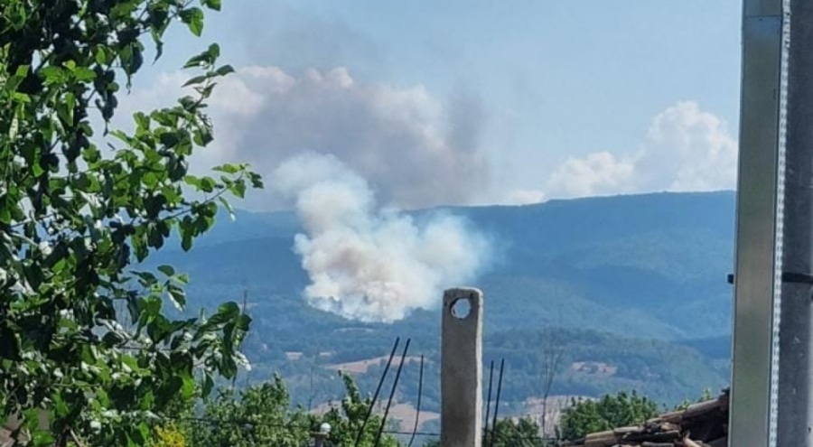 Bursa'da tarlada yangın!