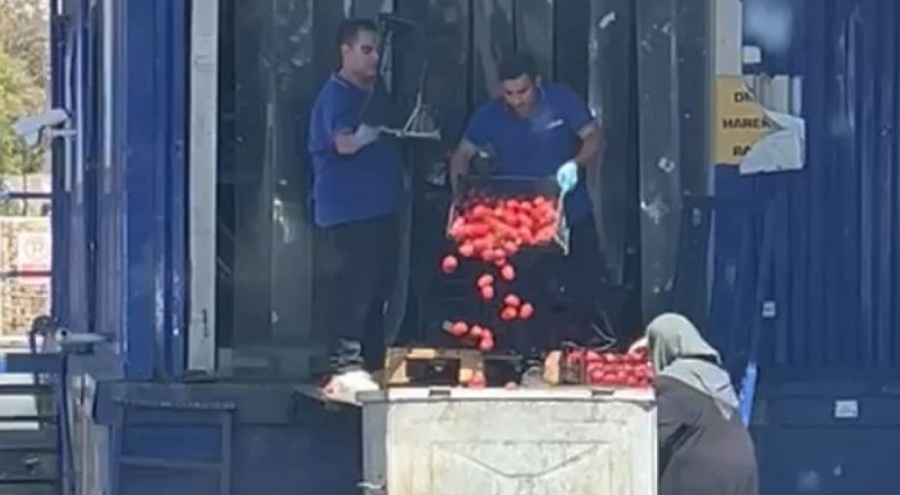 Yürek sızlattı! Zincir marketin döktüğü domatesleri yaşlı teyze topladı