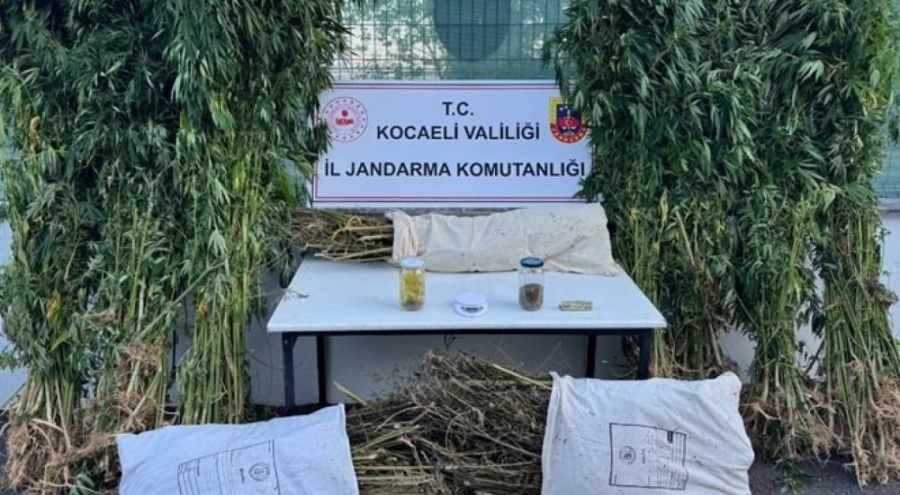 Kocaeli'de operasyon: 12 kilo 73 gram esrar ele geçirildi