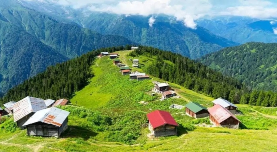 Doğu Karadeniz'den 11 ülkeye yapılan ihracat, 7 ayda 1,5 milyon dolar kazandırdı