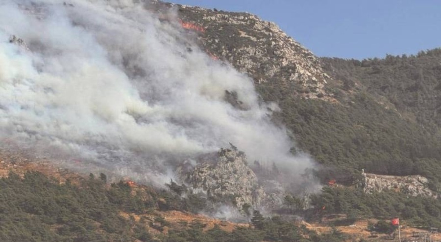 Hatay Antakya'da orman yangını çıktı