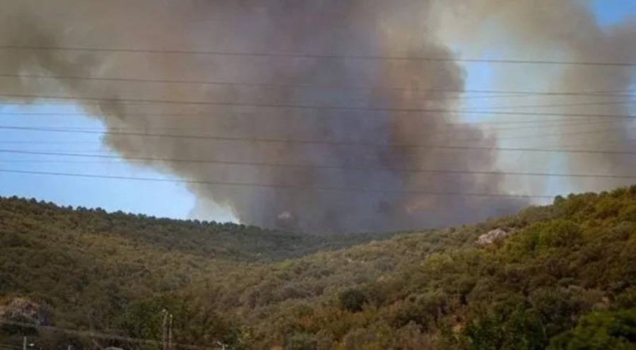 Çanakkale'de tarım arazisinde çıkan yangın kontrol altında