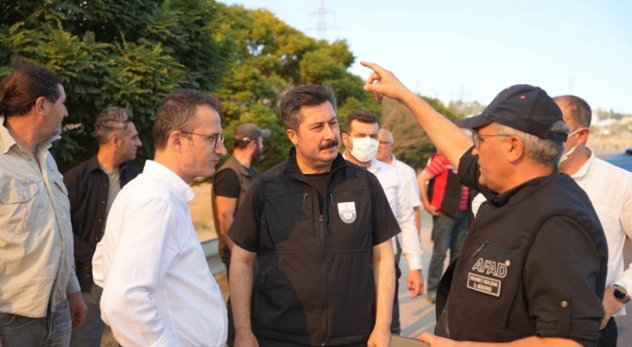 Bursa Yenişehir'de 100 hektarlık alan küle döndü