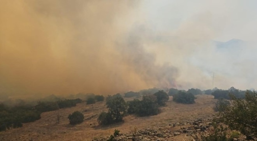 Balıkesir'de orman yangını
