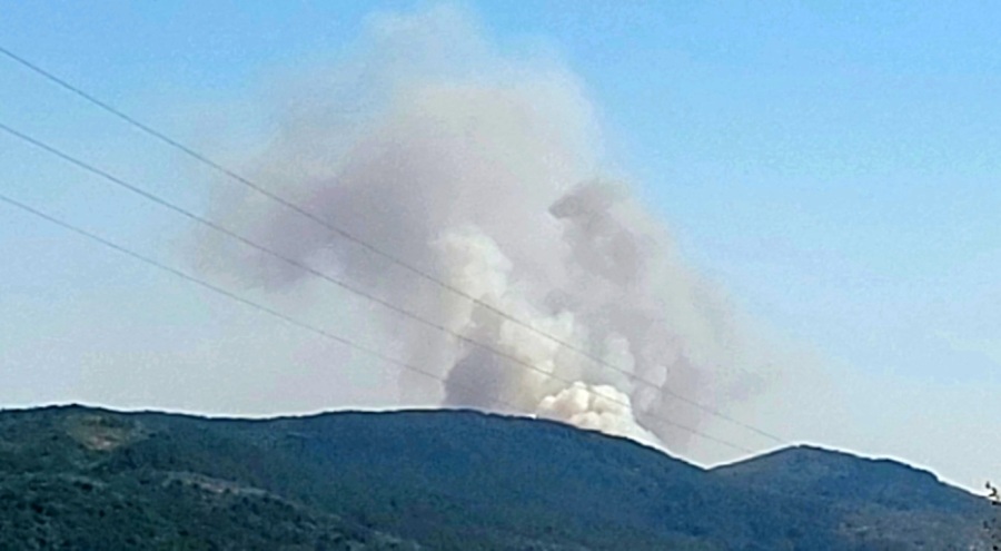 Karabük'te orman yangını çıktı