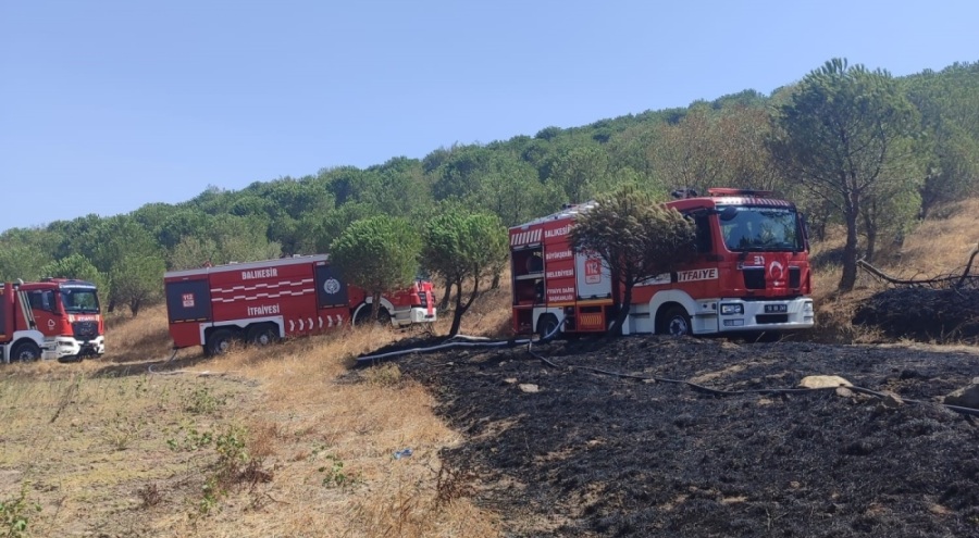 Susurluk'ta orman yangını kontrol altına alındı