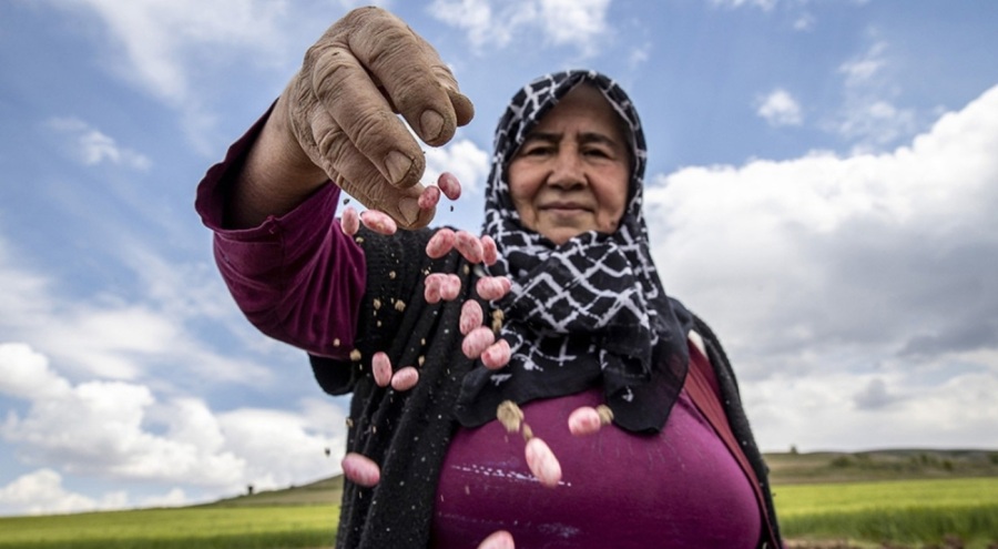 Çİftçilerin 2026 ÇKS başvuruları bugün başladı