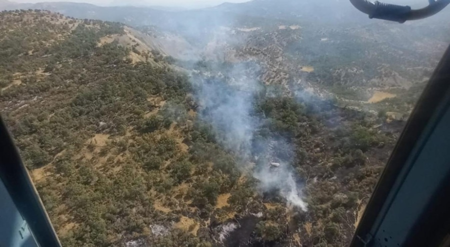 Şırnak'ta orman ve örtü yangını
