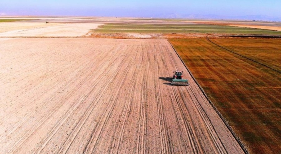 'Kiralık tarla' dönemi başladı, uzmanlardan uyarı geldi: Dolandırıcılara dikkat edin!