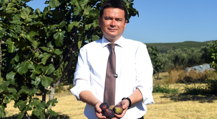 Belediye Başkanı Aydın'dan Osmangazi Siyah İncir Festivali'ne davet