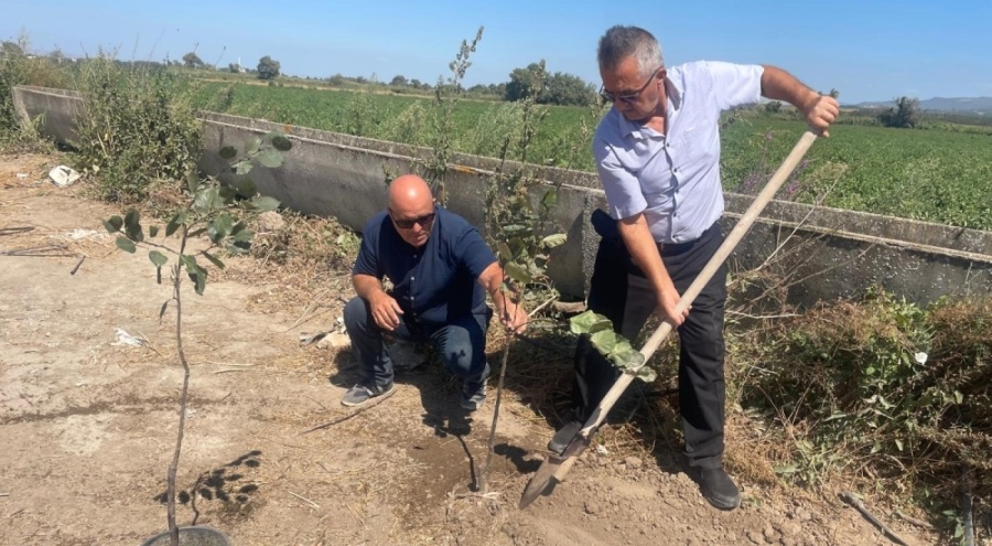 Bursa'da 'Ağaççı Hoca' olarak tanınan öğretmen, köyünü ormana çevirdi