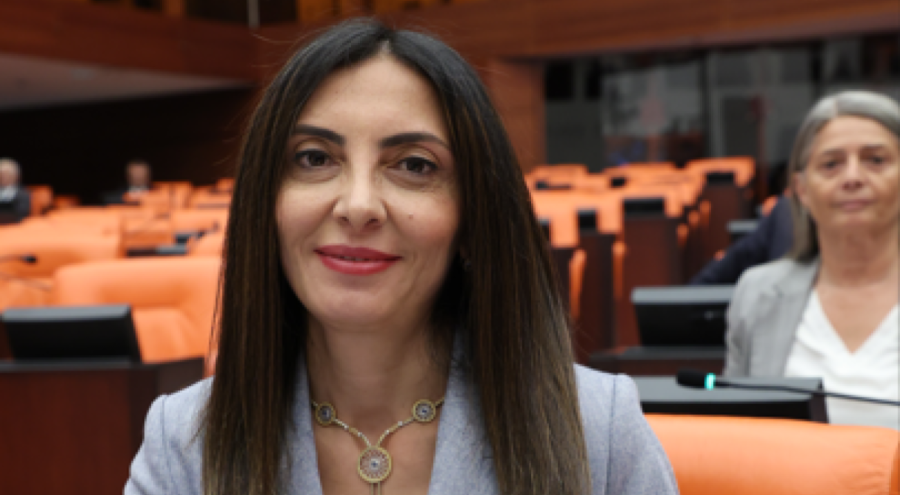 Bursa Milletvekili Kayışoğlu'ndan Hocaköy Barajı ile ilgili yazılı soru önergesi