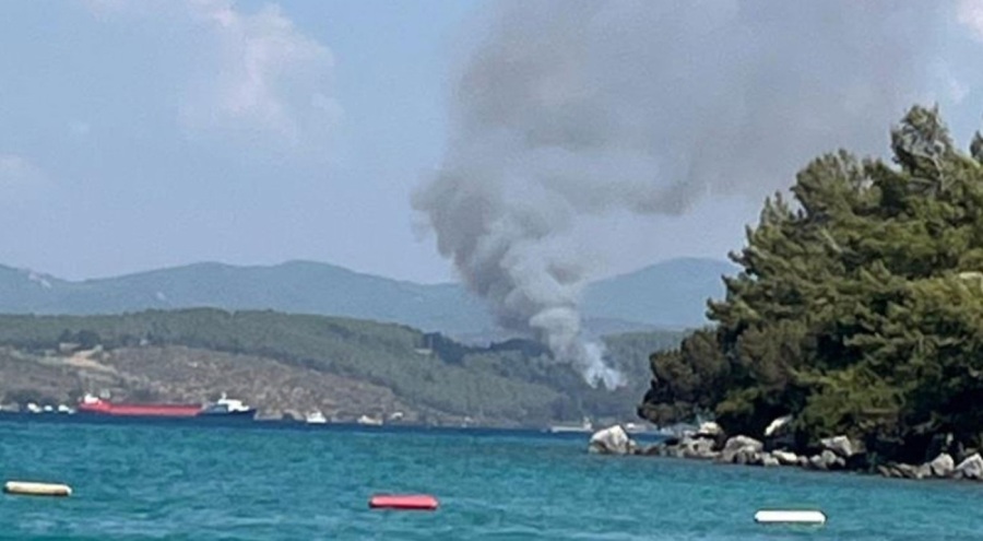 Bodrum'da orman yangını