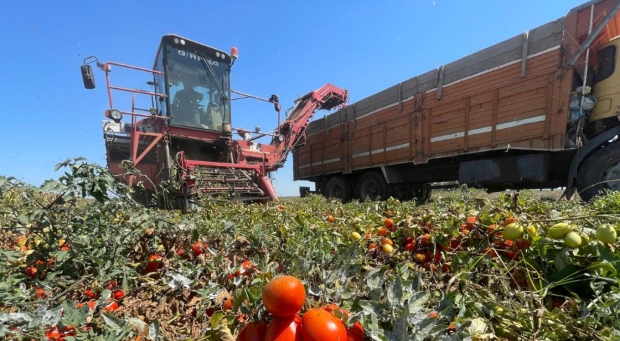 Tarımda plansızlık üreticiyi zorluyor