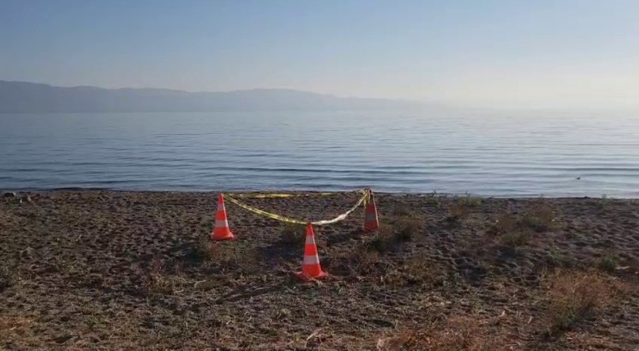 İznik Gölü kıyısında bulunan el bombası paniğe neden oldu!