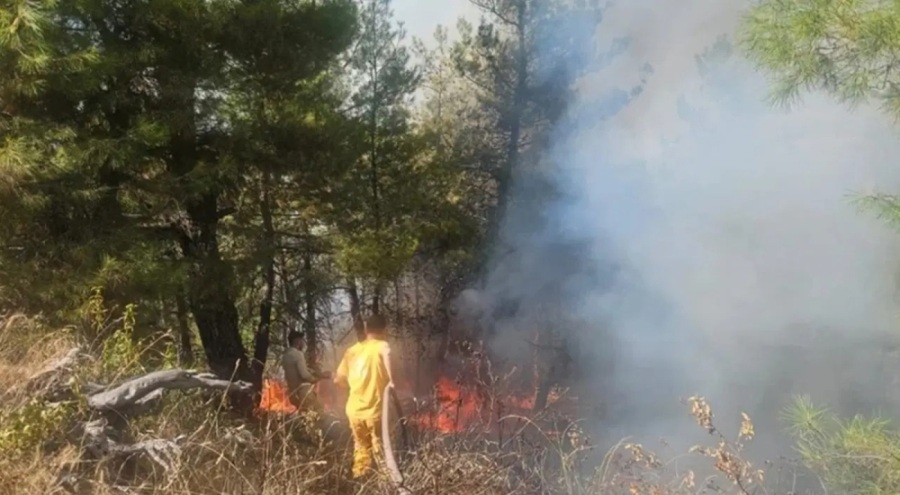 Denizli'de orman yangını!