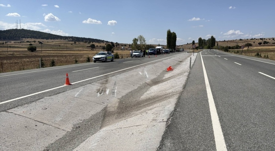 Yol kontrolü yaparken otomobilin çarptığı jandarma trafik personeli şehit oldu