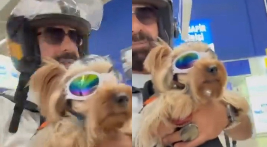 Bursa'da köpeği ile markete alınmayan vatandaş isyan etti