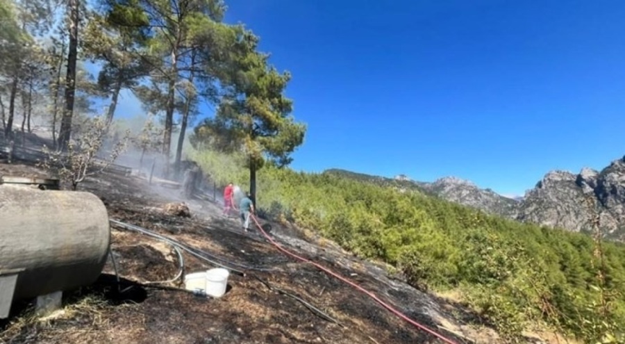 Adana'da orman yangını