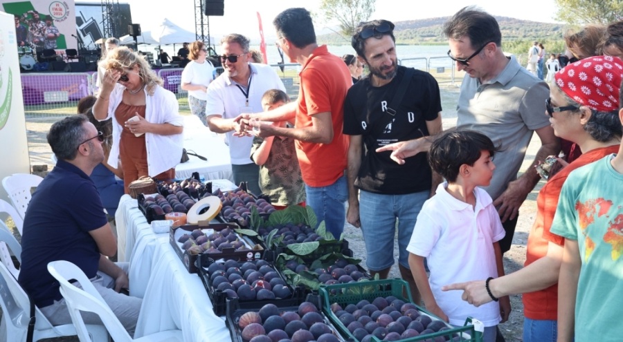 Nilüfer'de 11. Akçalar-Fadıllı İncir Festivali coşkuyla kutlandı