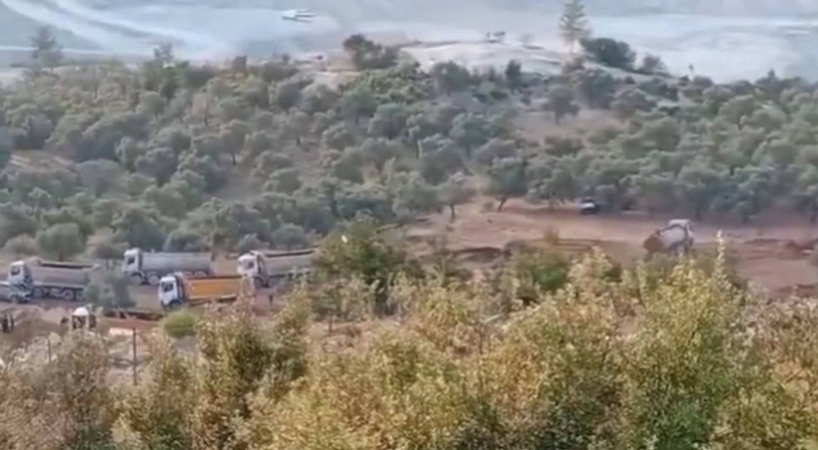 Akbelen'de sabah baskını! Zeytinlik kıyımı jandarma eşliğinde başladı