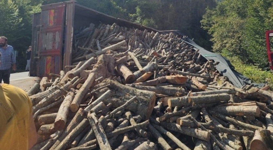 Virajı dönemeyen kamyon devrildi: 21 ton tomruk yola saçıldı