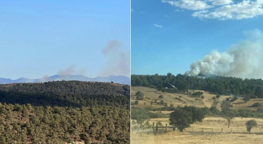 Çanakkale'de orman yangını!