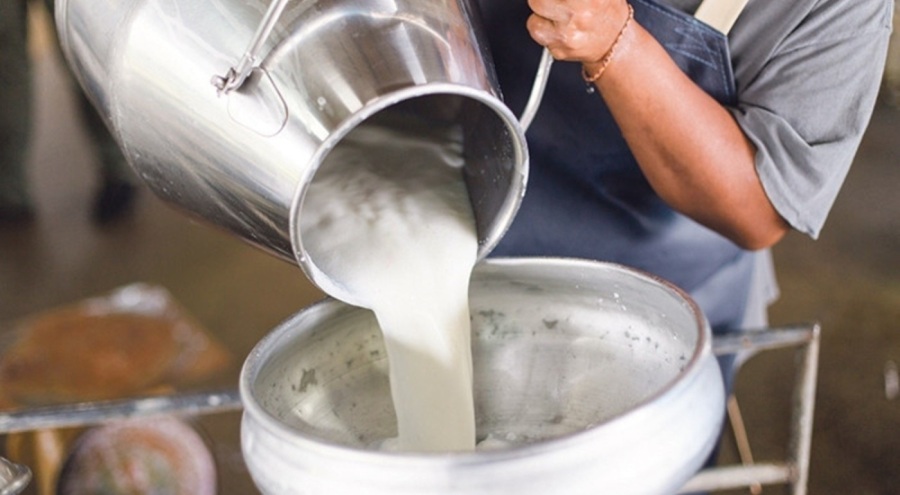 Çiğ süt fiyatlarına zam geldi