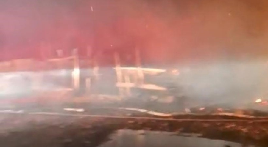 Cunda Adası'nda makilik yangını