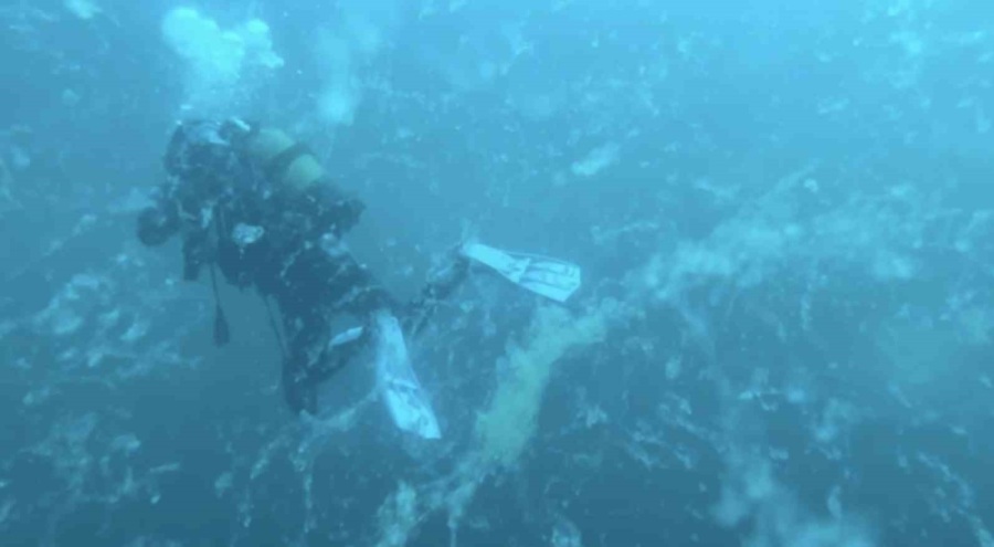 Denizde korkutan görüntüler!