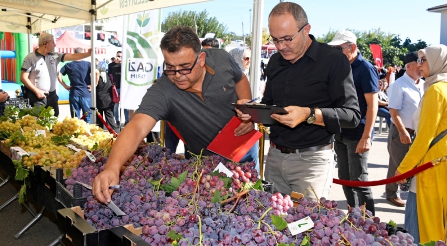 Osmangazi'nin en kaliteli üzümleri festivalde yarıştı