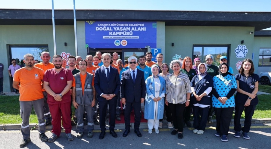 Sakarya'da sokak hayvanları için doğal yaşam kampüsü