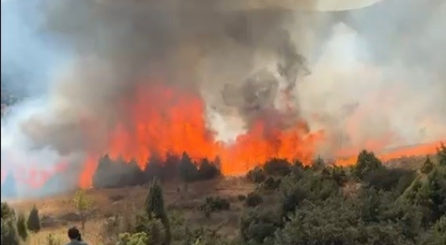 Salça yaparken çıkan kıvılcımla 30 dönüm alan kül oldu