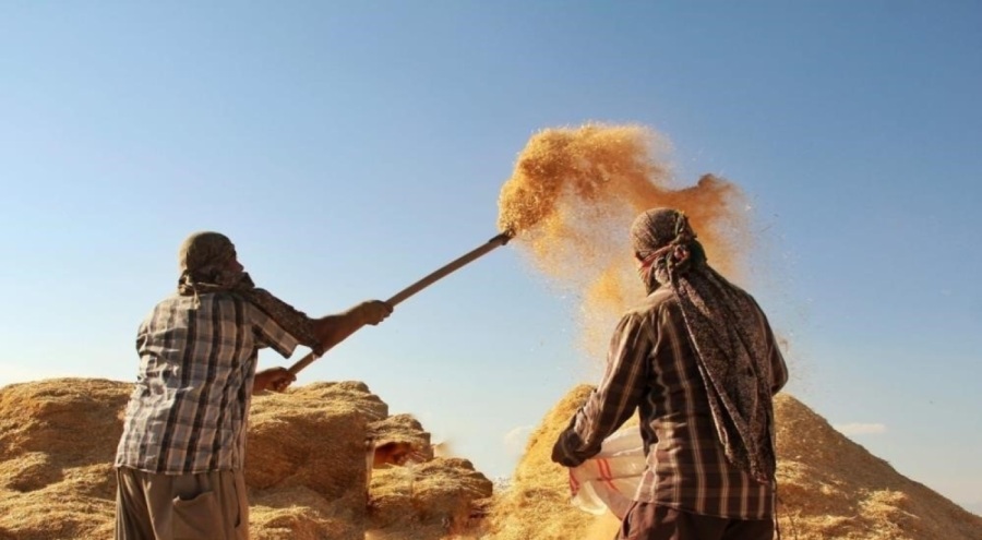 Tarım-GFE yıllık yüzde 34,22 arttı