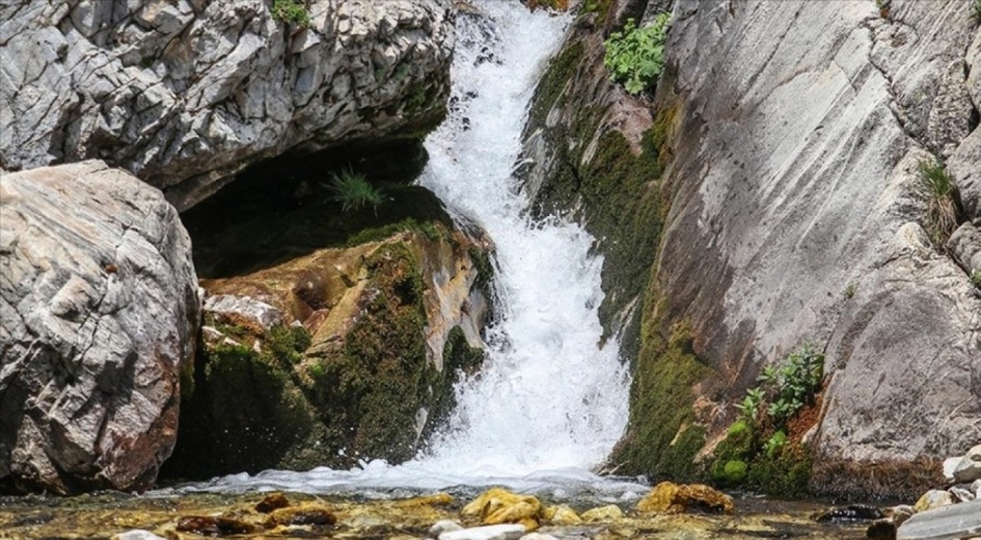 Dünyanın su güvenliği için uluslararası güç birliği yapılacak